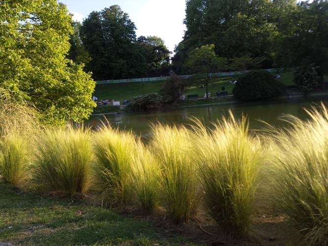 parc montsouris 15